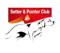 Setter und Pointer Club Schweiz