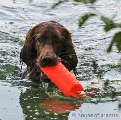 wasserarbeit