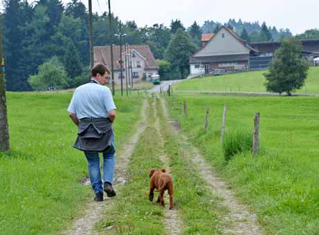 erster spaziergang